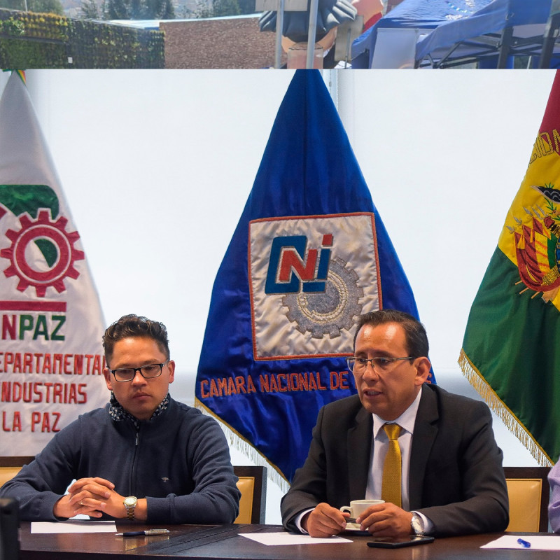 AVANCE DE LOS 17 PUNTOS ESTABLECIDOS POR EL GOBIERNO